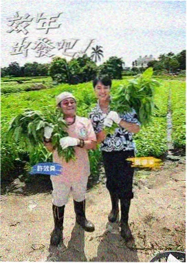 奇葩说